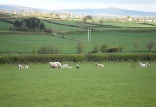 Valley View Country House Bed And Breakfast Bushmills Exterior foto